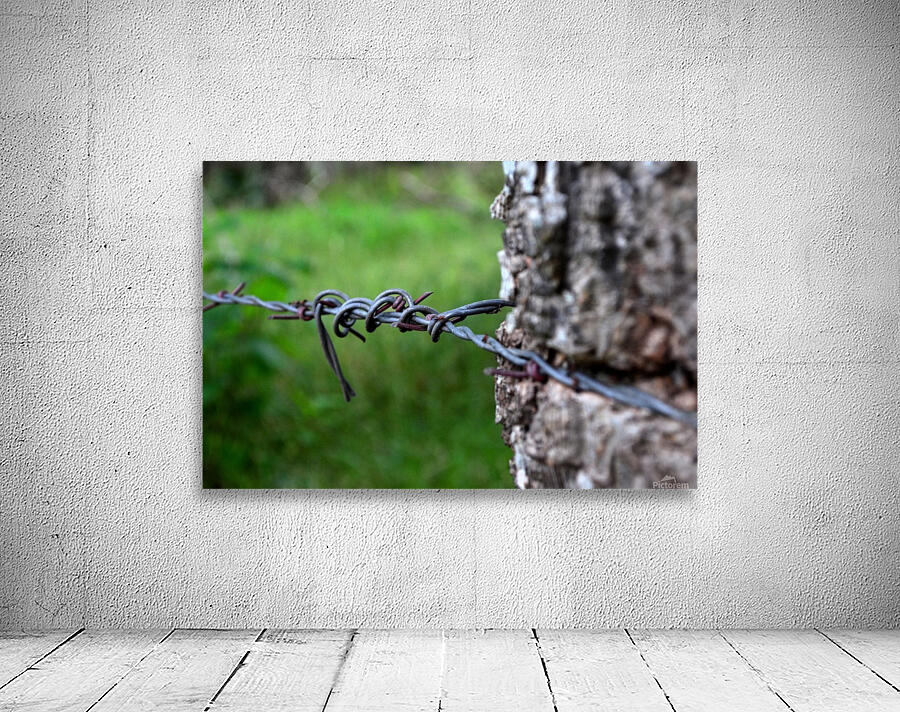 Barbed wire Wall Preview