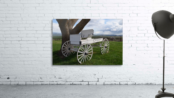 Spring Fields Wall Preview
