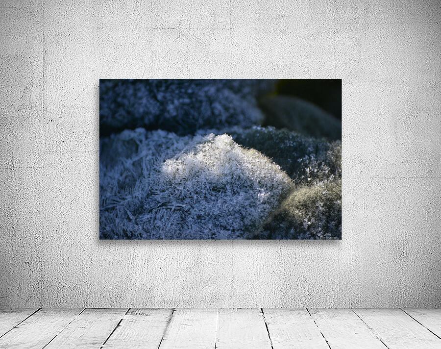 Frozen Crystals Wall Preview