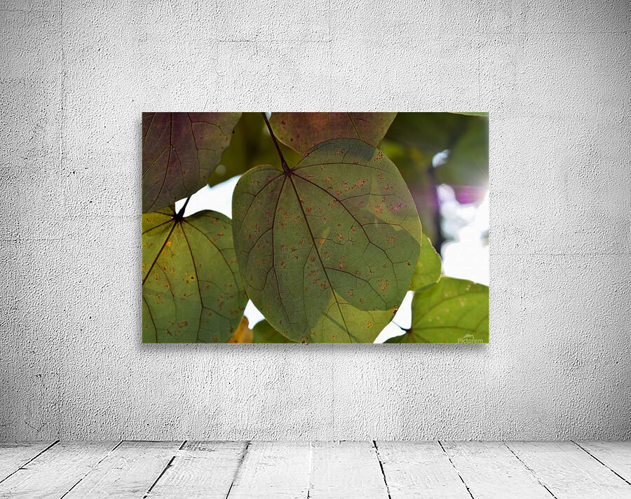 Lighted Leaves Wall Preview