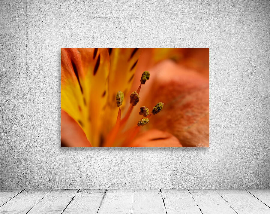 Pollination Wall Preview