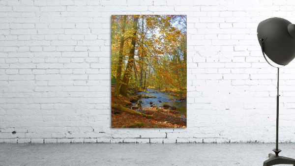 Fall Colors Over Babbling Brook Wall Preview