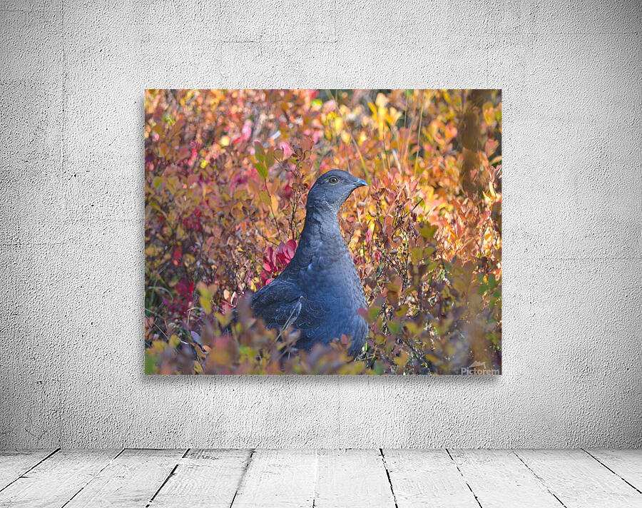 Autumn Grouse Wall Preview