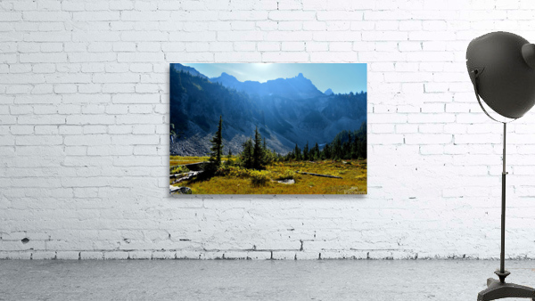 Sun Filled Mountain Meadow Wall Preview