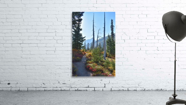 The Mountains are Calling Wall Preview