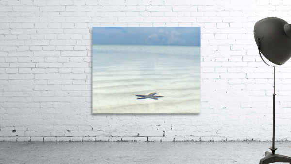 Watery Starfish Wall Preview