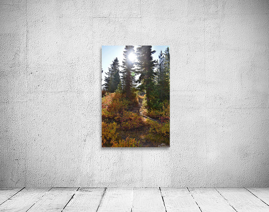 Sunlit Mountain Path Wall Preview