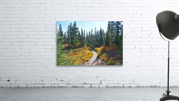 Pathway in the Forest Wall Preview