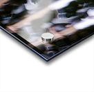 dcmm0003 Acrylic print