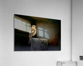 dcjj20230104 2940 Acrylic Print
