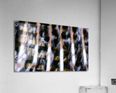 dcmm0003 Acrylic Print