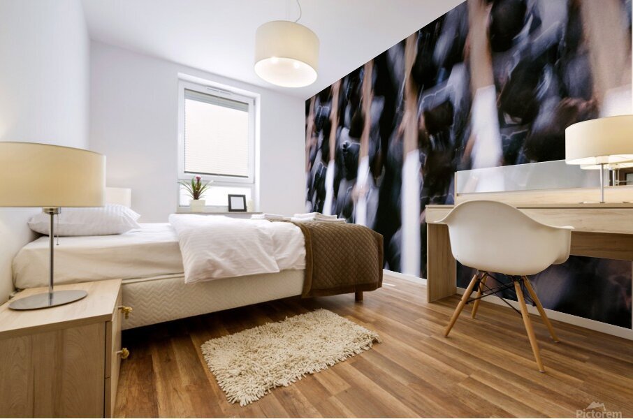 dcmm0003 Mural print