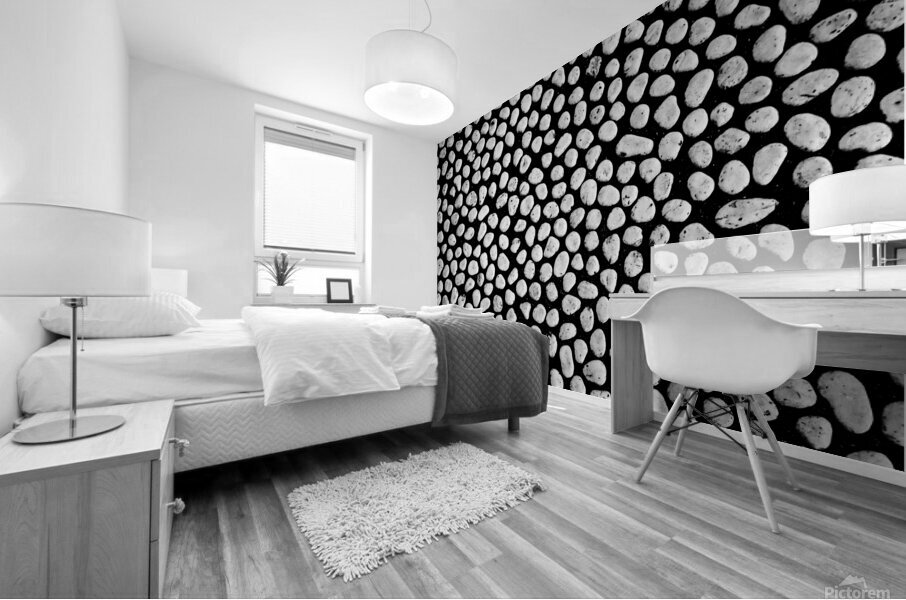Pebble Floor Mural print