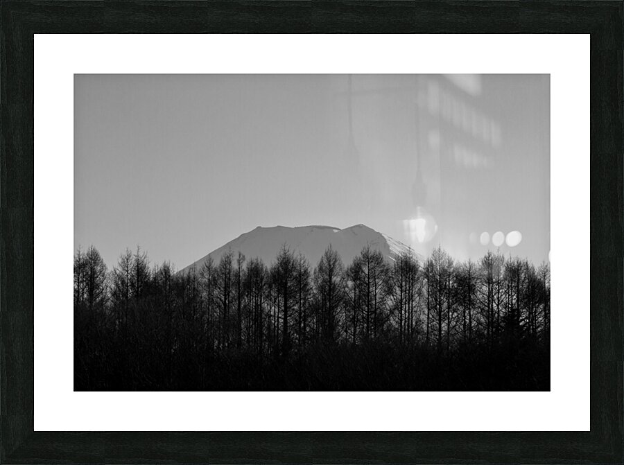 dcjj20200326 1438 Picture Frame print