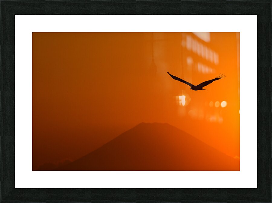 dcjj  201805049935 Picture Frame print