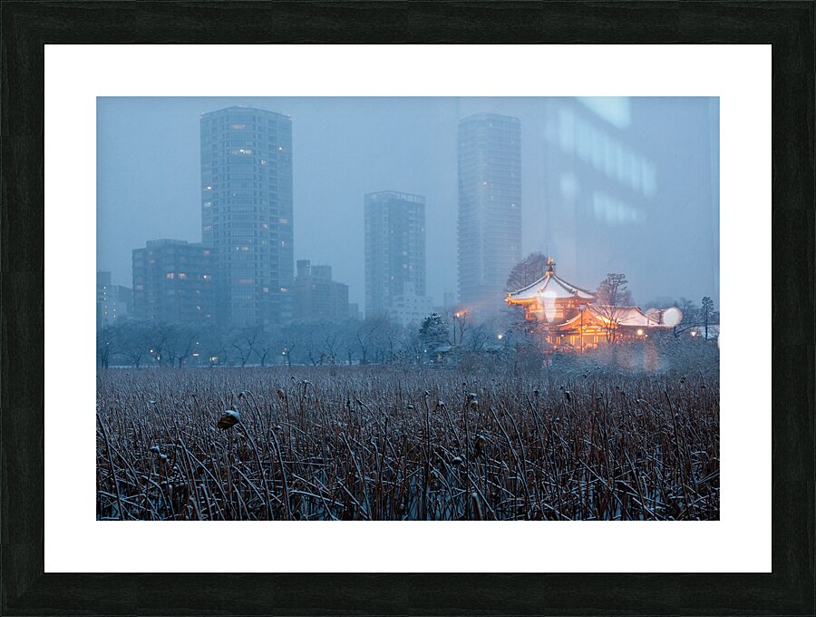 dcjj201402149860 Picture Frame print