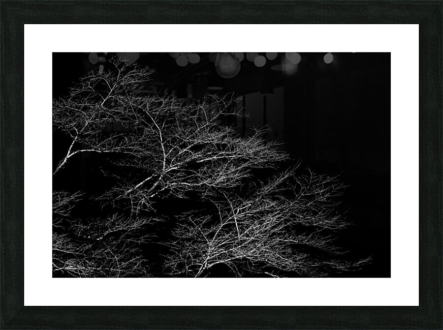 Winter Trees Picture Frame print