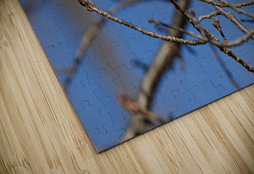 dcjj20230205 4943 Damon Coulter puzzle