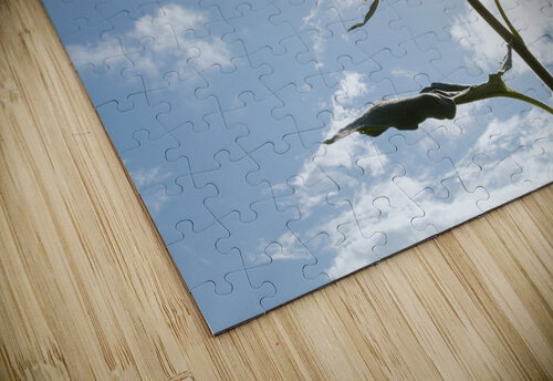dcjj20240825 5463 Damon Coulter puzzle