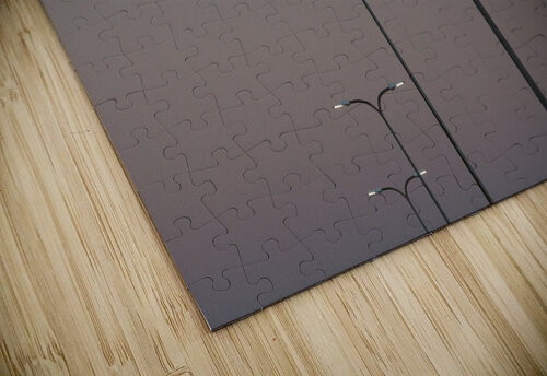 dcjj20241013 9805 Damon Coulter puzzle