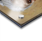 Matilda Acrylic print