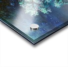 Night Tree Acrylic print