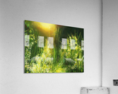 Sunrise Meadow Acrylic Print