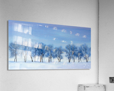 My winter place Acrylic Print