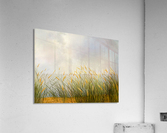 Before rain Acrylic Print