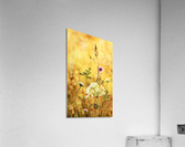 Midsummer meadow Acrylic Print