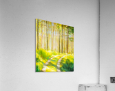 Inviting light Acrylic Print