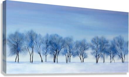 My winter place Canvas Print