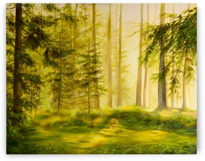 Forest Sunset by Ineta Petersone