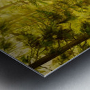 Forest Sunset Metal print