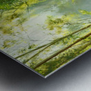 Forest Sun Metal print