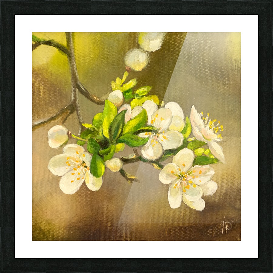 Apple Tree Blossoms Picture Frame print