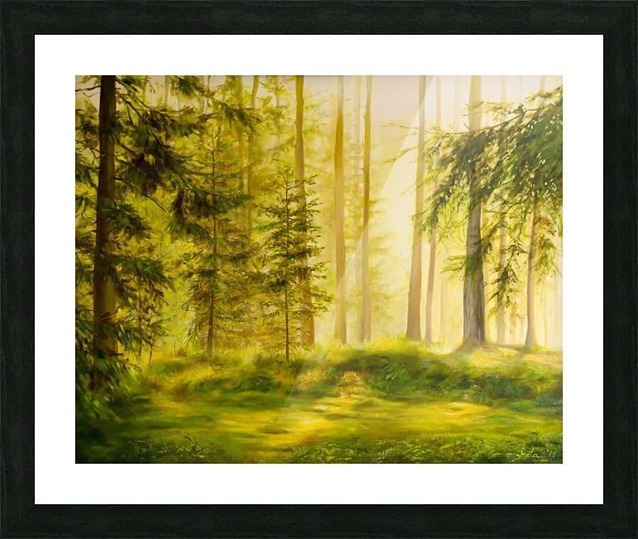 Forest Sunset Picture Frame print