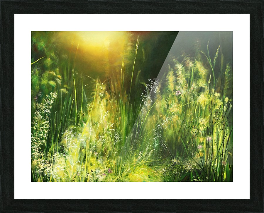 Sunrise Meadow Picture Frame print