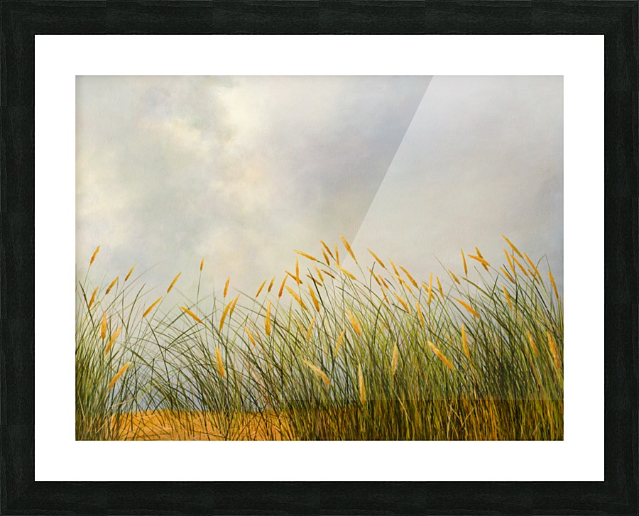 Before rain Picture Frame print