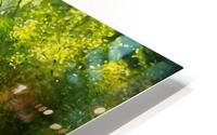 Forest Sun HD Metal print