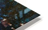Night Tree HD Metal print