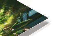 Sunrise Meadow HD Metal print