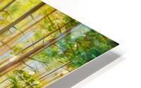 Inviting light HD Metal print