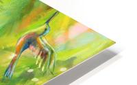 Hummingbird Dance HD Metal print