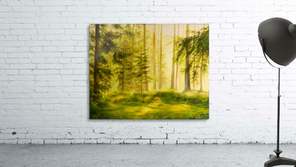 Forest Sunset Wall Preview