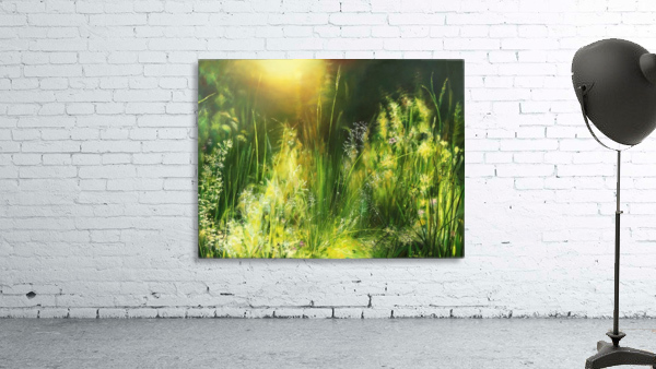 Sunrise Meadow Wall Preview
