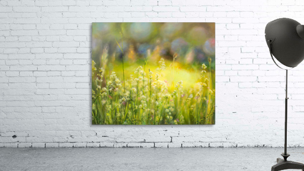 Midsummer beauty Wall Preview