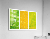 Autumn Leaves Acrylic Print