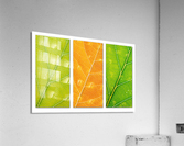 Autumn Leaves Acrylic Print