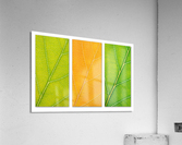 Autumn Leaves Acrylic Print